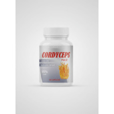 Cordyceps Plus Cordyceps Plus